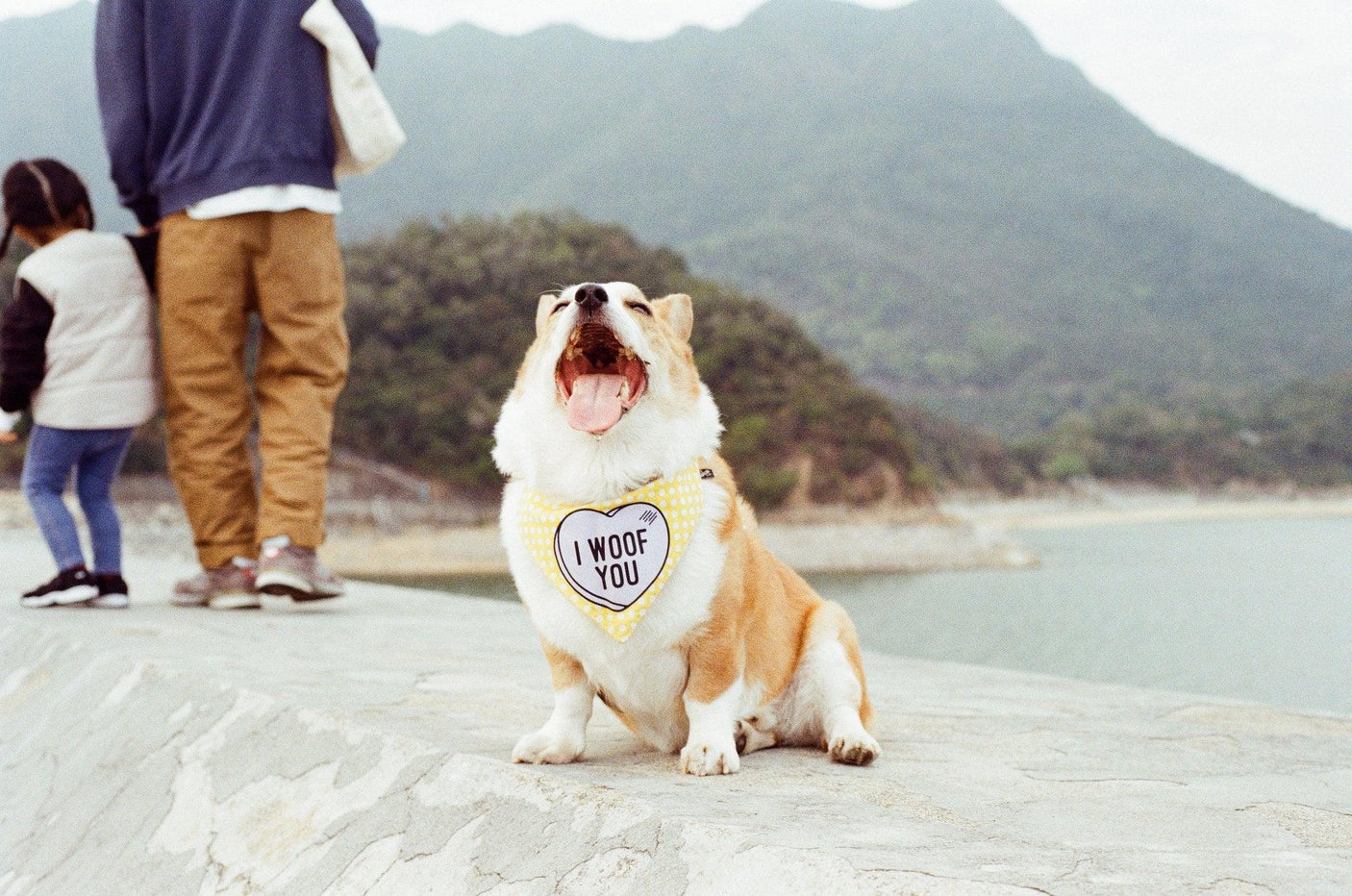 35MM REUSABLE FILM CAMERA WITH FLASH