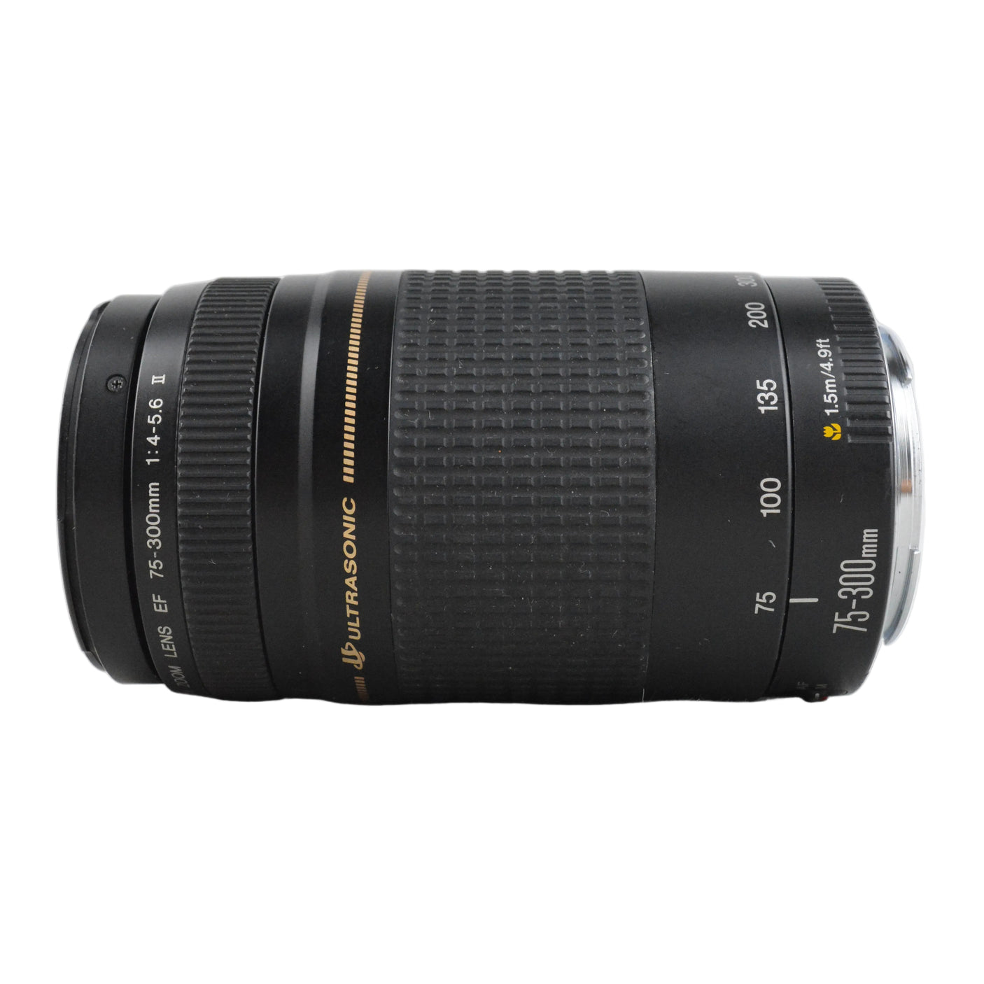 Canon 75-300mm f4 Zoom Lens