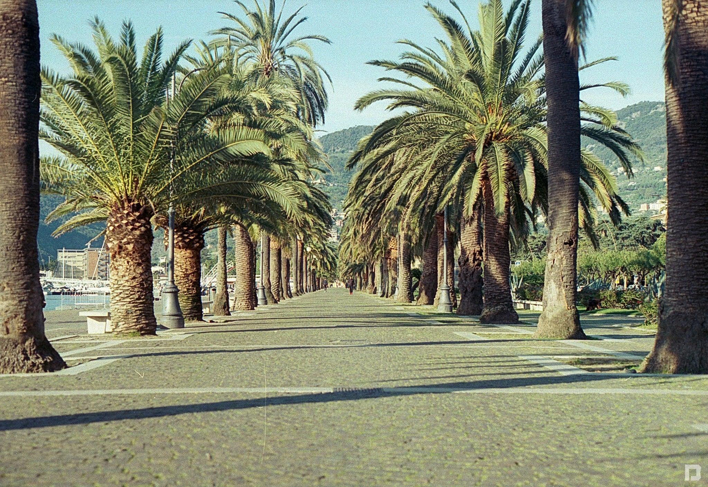 Canon AL-1 35mm SLR Film Camera with Canon Prime Lens