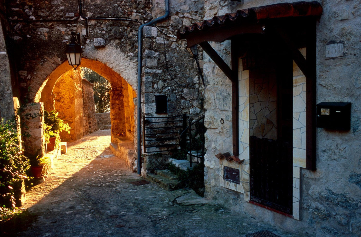 FujiChrome Professional Velvia 100 36 EXP 35mm Colour Film