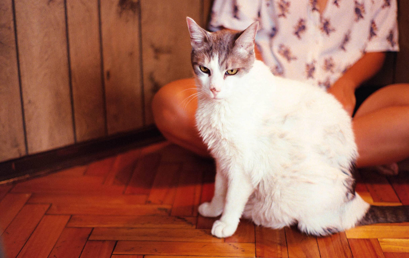 Minolta Hi-Matic 7s Rangefinder 35mm Film Camera With Rokkor PF 45mm F1.8 Lens