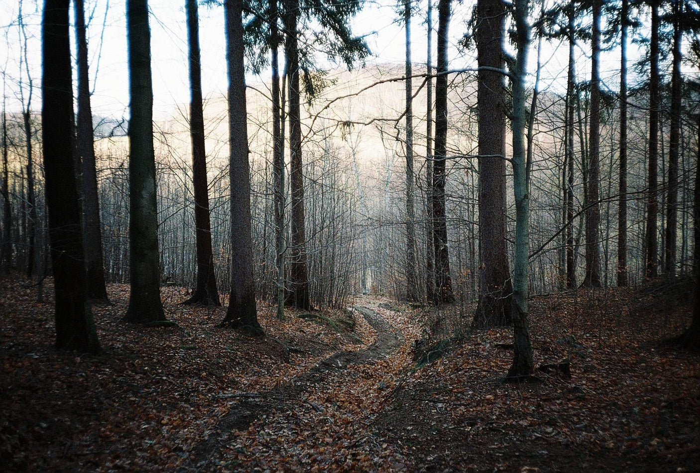 Minolta SR-7 SLR 35mm Film Camera with Minolta 135mm F3.5 Lens