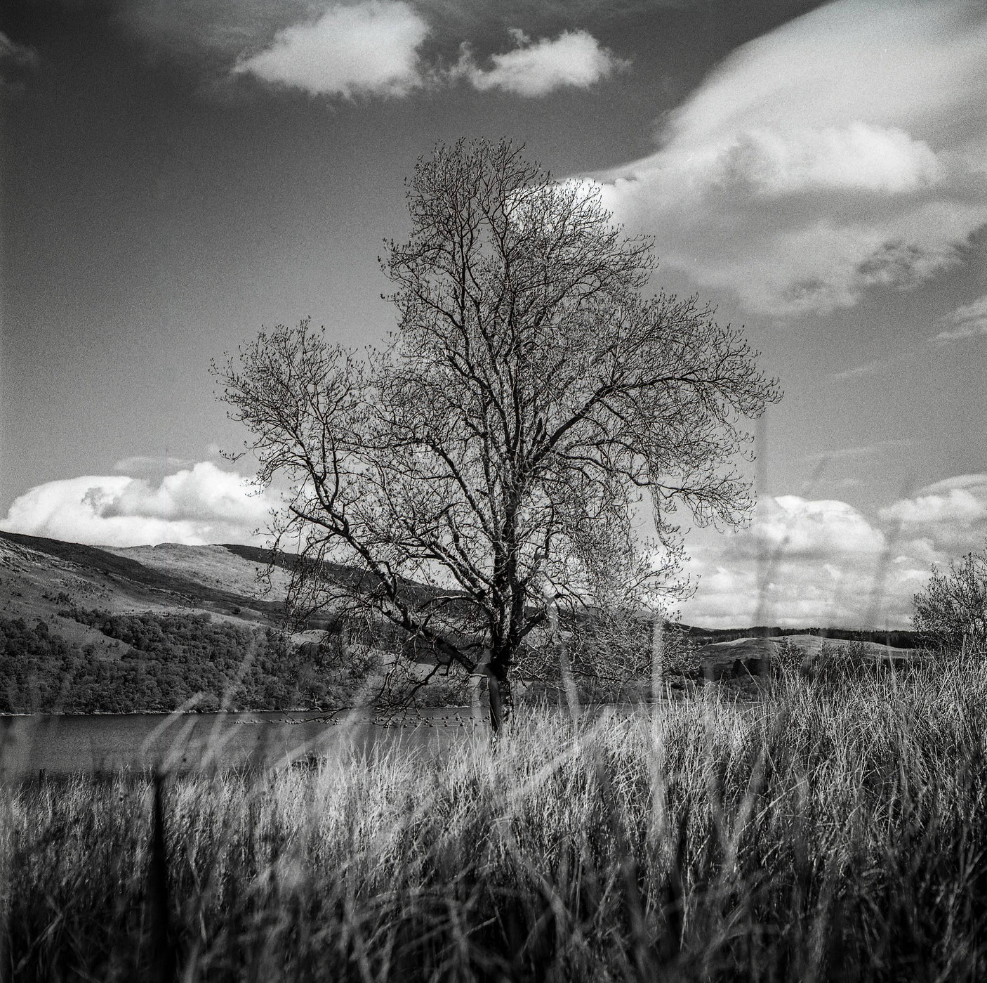 Minoltacord With 75mm F3.5 Lens. TLR 6X6 Medium format Film Camera.