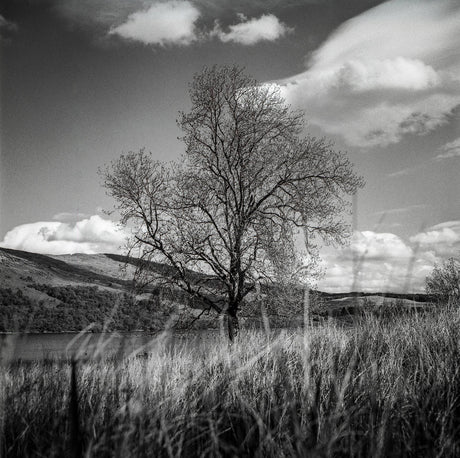 Minoltacord With 75mm F3.5 Lens. TLR 6X6 Medium format Film Camera.