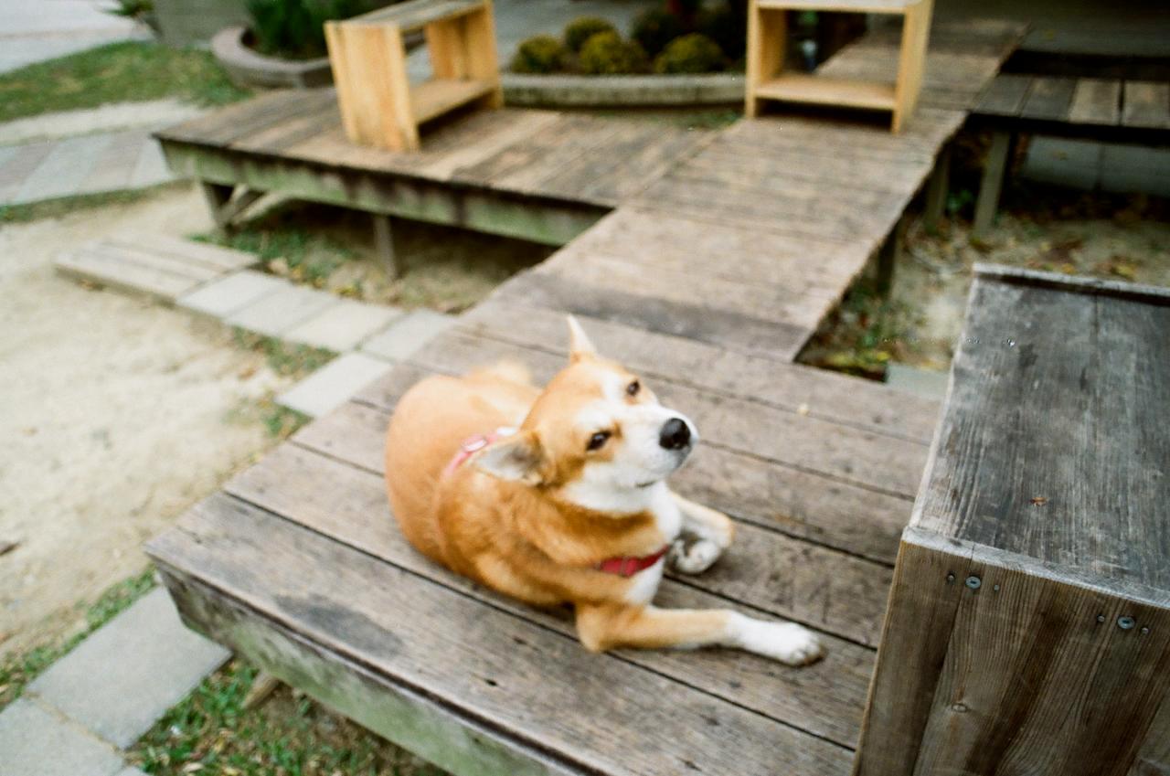 Miranda 24mm f/2.8 Macro Camera Lens