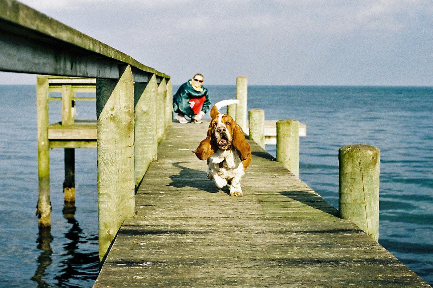 Nikomat EL Vintage 35mm SLR Film Camera w/ Nikkor-S f/2.8 35mm Lens