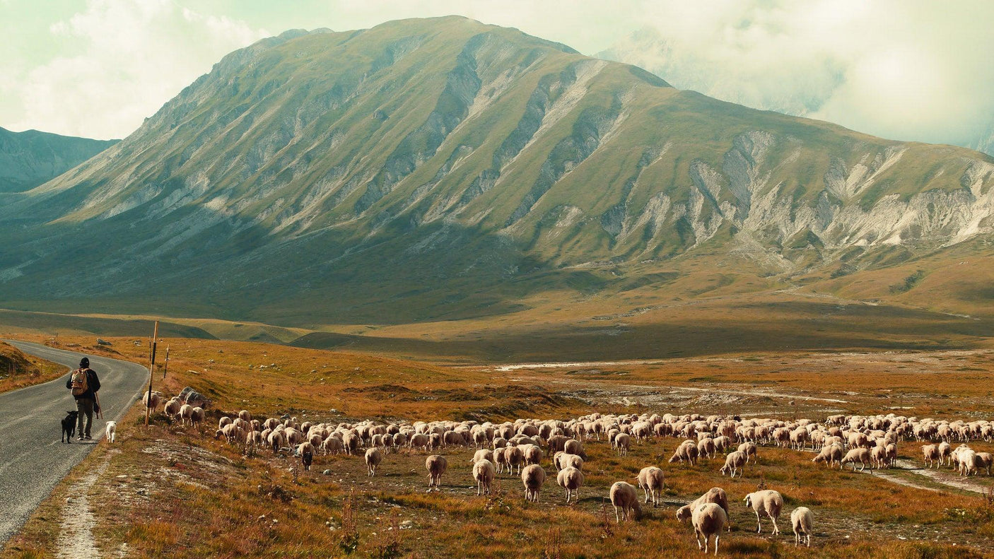 Pentacon 50mm f/1.8 Camera Lens