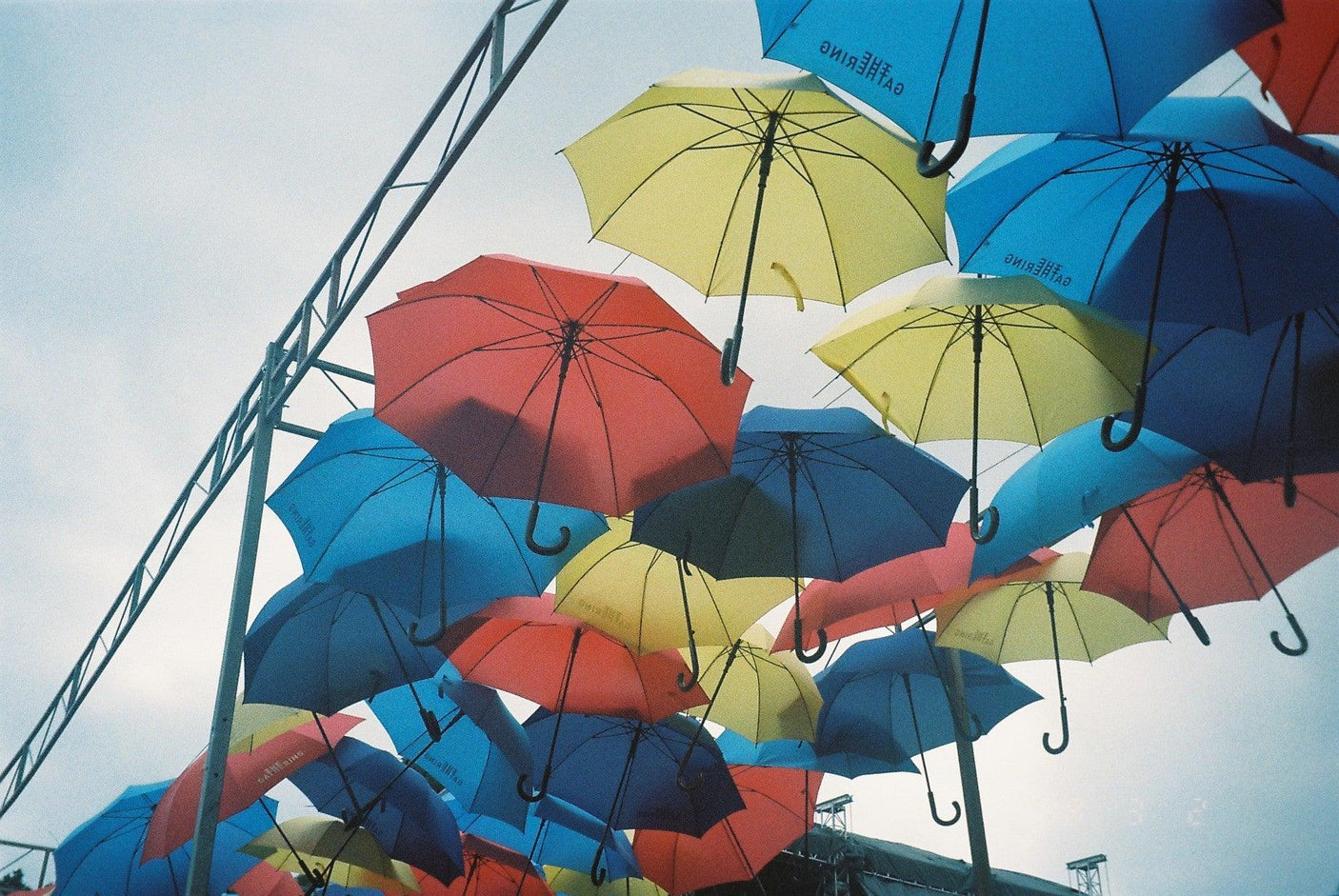 Pentax Espio 115 / IQZoom 115 35mm Film Camera Point and Shoot