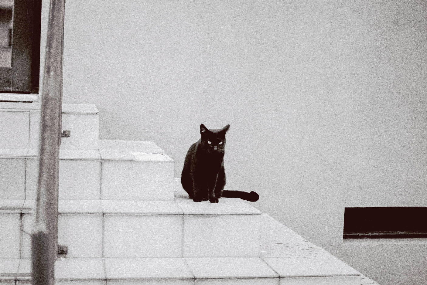 Pentax K1000 Orange Leather Vintage SLR 35mm Film Camera with Pentax f/2 50mm Prime Lens.