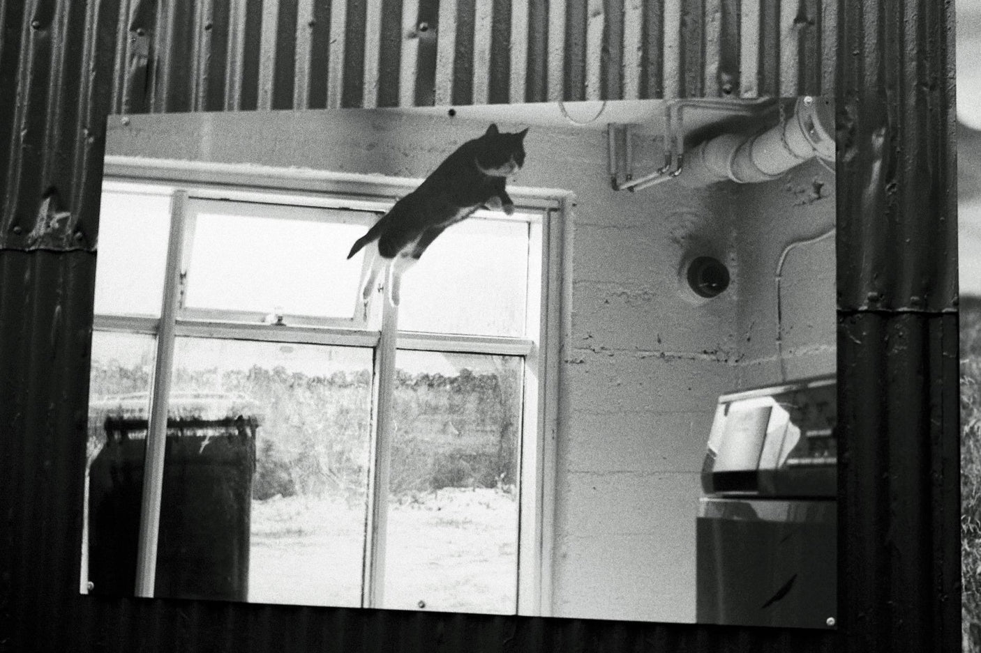 Petri - 7S. 35mm Rangefinder With 45mm F2.8 Lens