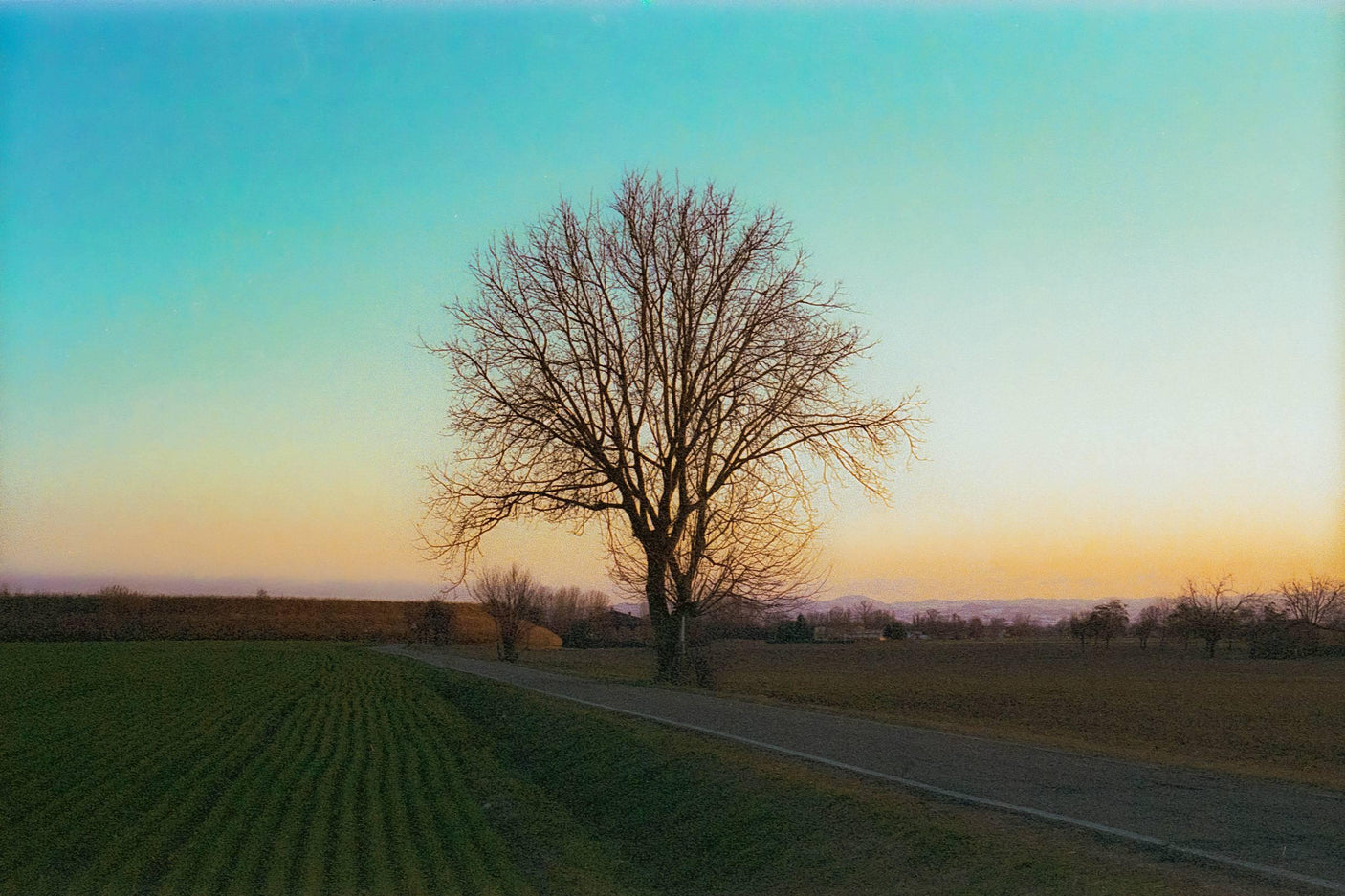 Red Olympus XA2 35mm Film Camera Point and Shoot w/ Olympus A11 Flash (Boxed)