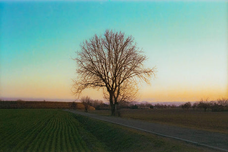 Red Olympus XA2 35mm Film Camera Point and Shoot w/ Olympus A11 Flash (Boxed)
