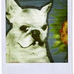 Retro Polaroid Supercolour 635