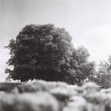 Rollieflex Old Standard 621 With 75mm F3.8 Lens. TLR 6X6 Medium Format Film Camera.