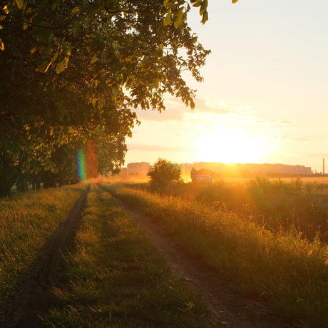 Sunactinon 28mm f/2.8 Camera Lens