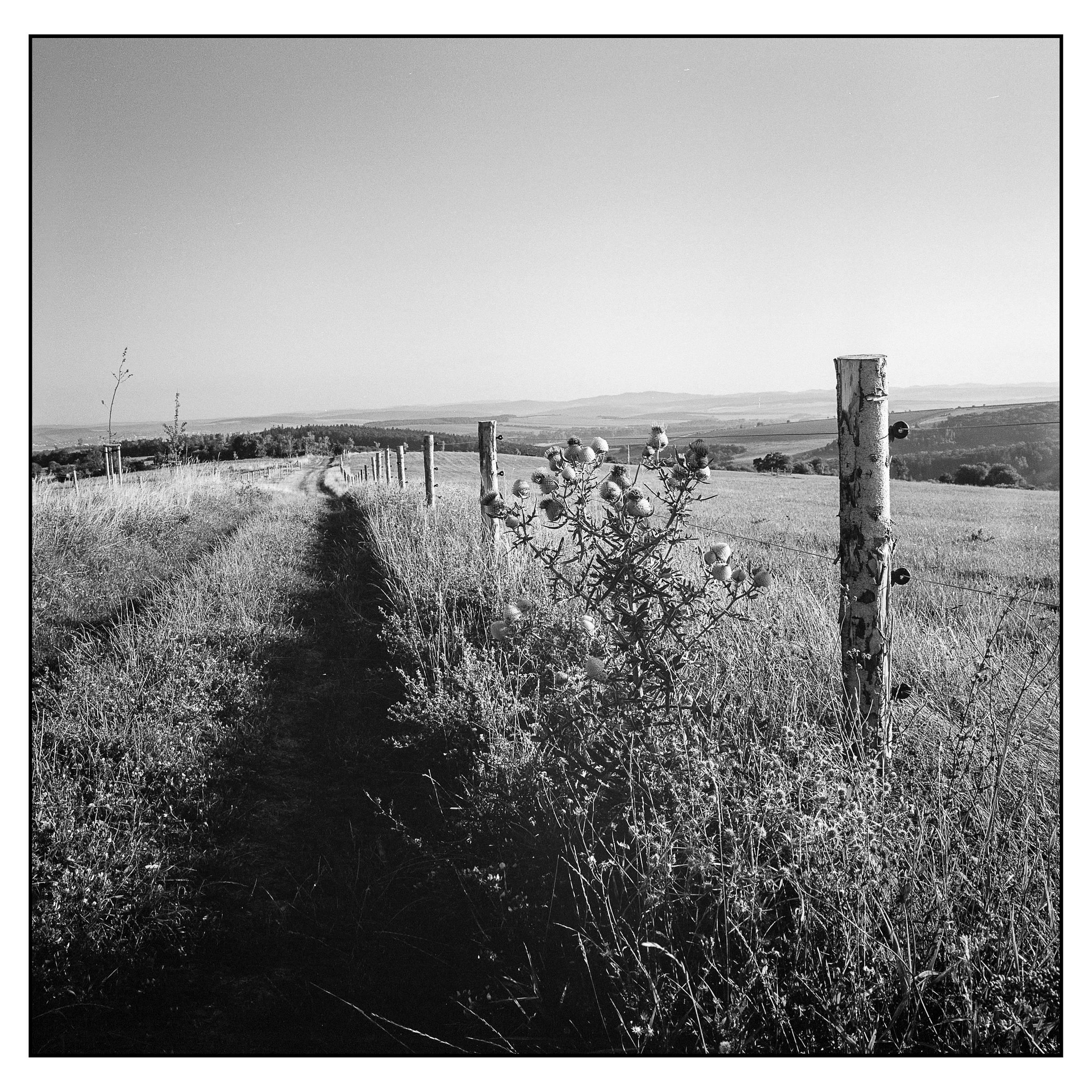 Lubitel 166B With 75mm F4.5 Lens. TLR 6X6 Medium Format Film