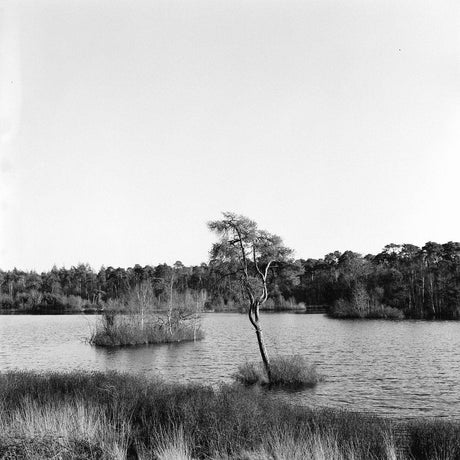 Lubitel 166B With 75mm F4.5 Lens. TLR 6X6 Medium Format Film Camera.