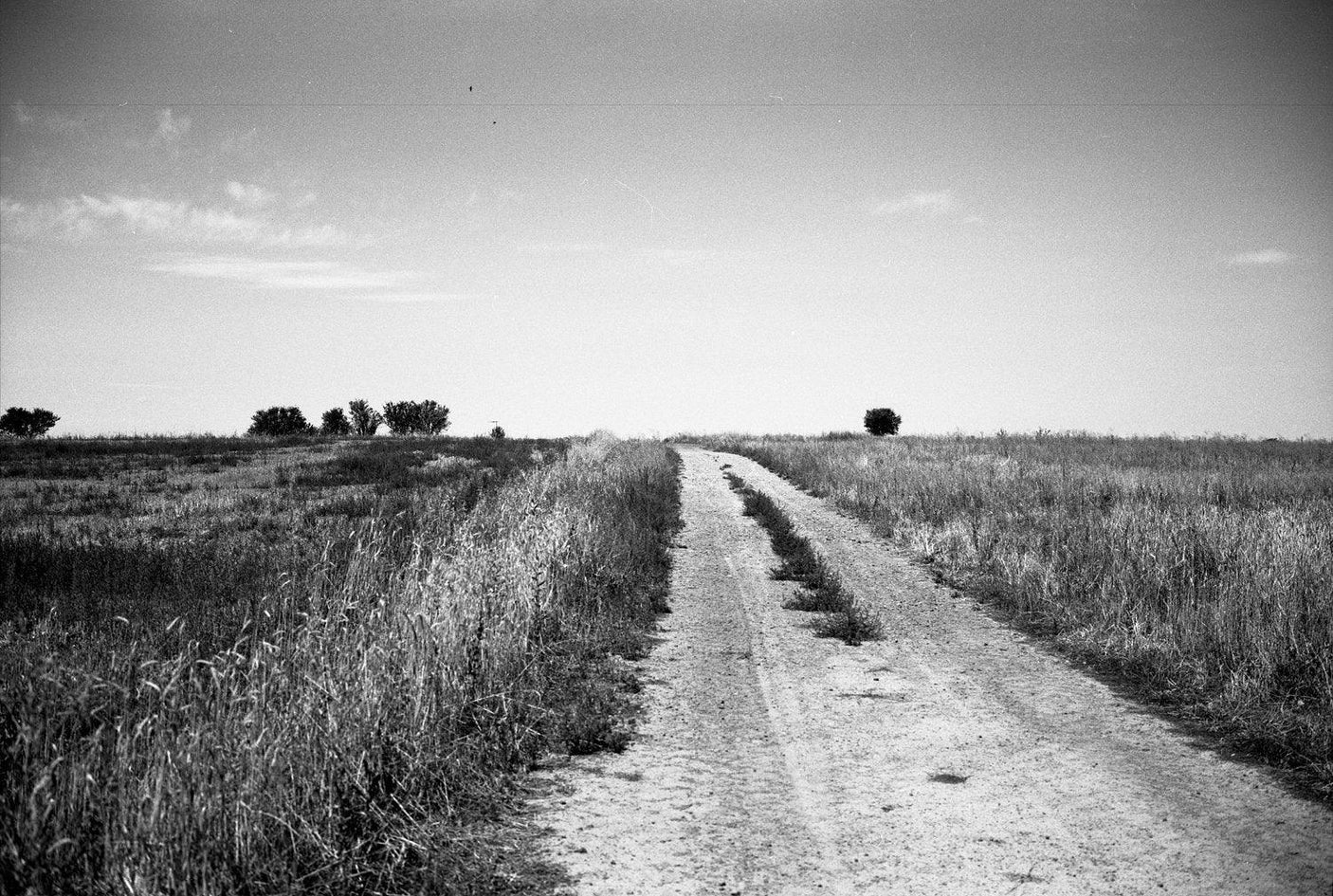 Lubitel 2 With 75mm F4.5 Lens. TLR 6X6 Medium Format Film Camera.