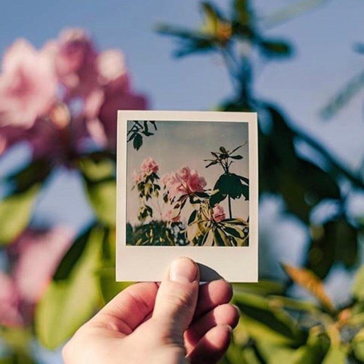 レトロなポラロイド P 600 インスタント フィルム カメラ – Film
