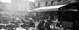 AGFAPHOTO APX 100 Pellicola professionale in bianco e nero da 35 mm per fotocamere da 35 mm